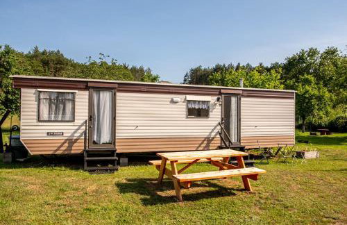 "Koziołek Suchodołek" - Foto 3