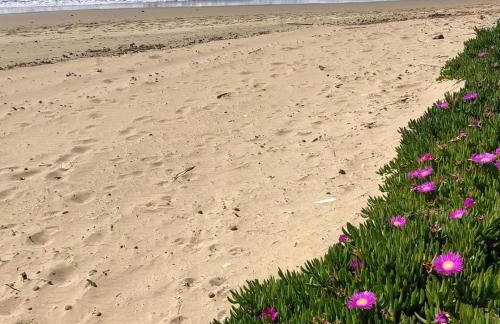 Elisa San Vincenzo Apartment - Foto 49