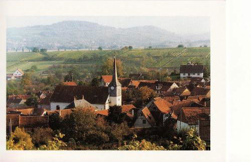 Les hirondelles - Foto 1