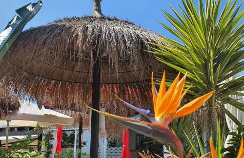 Wi-Fi alta velocidad de 1 Gbps rodeado de naturaleza - Photo 45