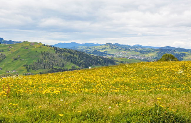 Panoramablick - Foto 15