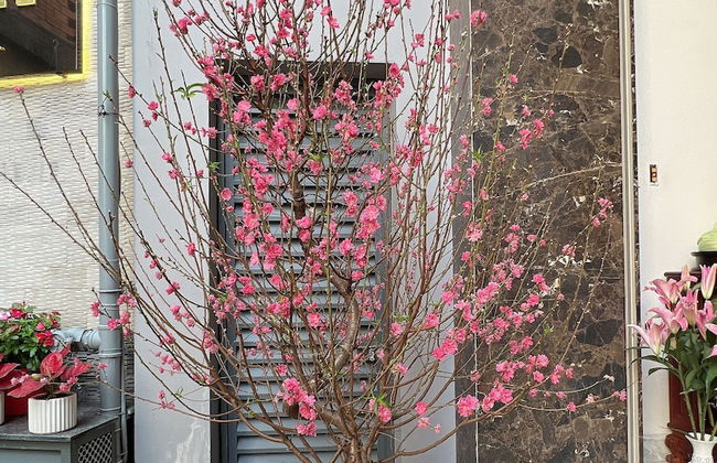 Khánh my apartment - Foto 35