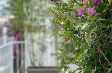 Esclusiva casa golden sulla spiaggia - Foto 10