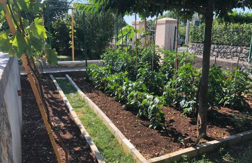 Casa Fiumana Laura - Photo 36