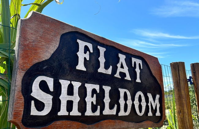 FLAT SHELDOM - Photo 7
