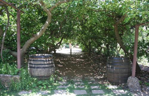 Finca El Vergel Rural - Foto 36