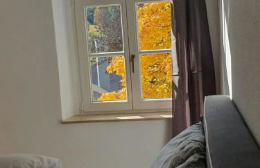 Zentral gelegene Wohnung - Foto 16