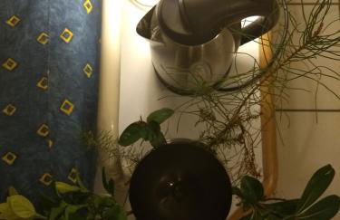 Albertine appt 112 - Foto 20