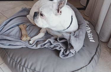 Elbitat Homes Wellness&Spa - Foto 124