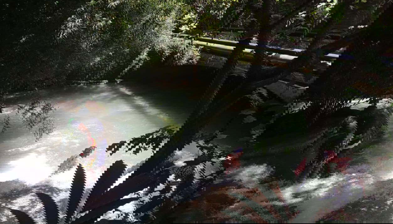 Excursion aux chutes de la Dunn + Ascension de la cascade - Photo 1