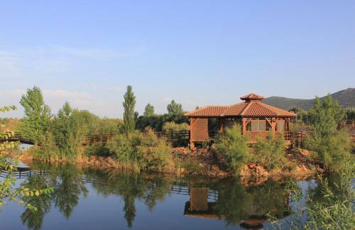 Complejo Turístico Rural Fuente Taray - Foto 10