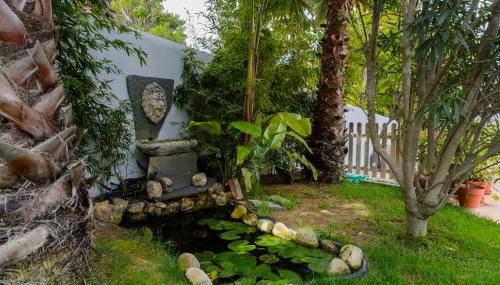 Villa Blanca Santa Eulalia - Foto 4, Garden, Garden view