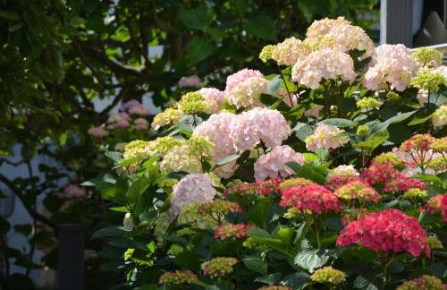 Ferienhaus 1534 - Foto 21