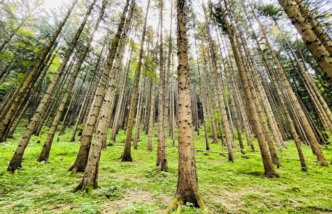 Excursión al cañón de Seven Ladders - Foto 4