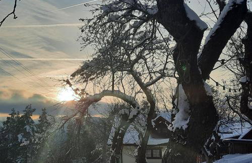 Siedlisko na Groniku - Foto 24