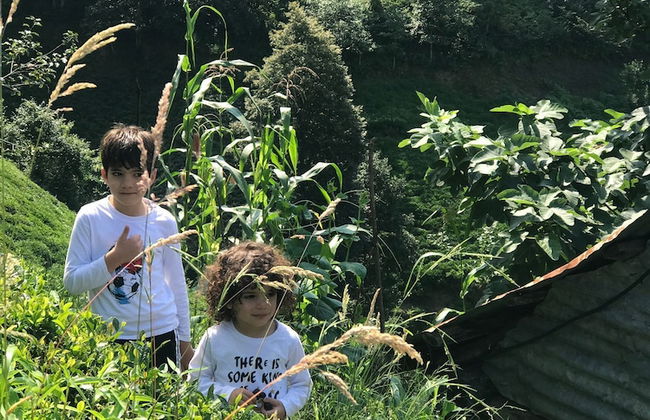 Northland Bungalows - Foto 58