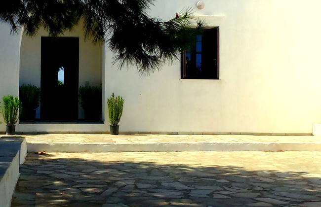 Windmill Complex - Photo 25