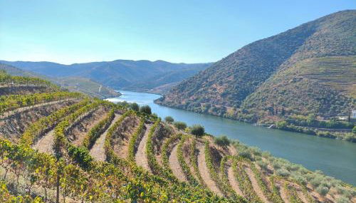 Wine House - Quinta Vale de Carvalho - Foto 4