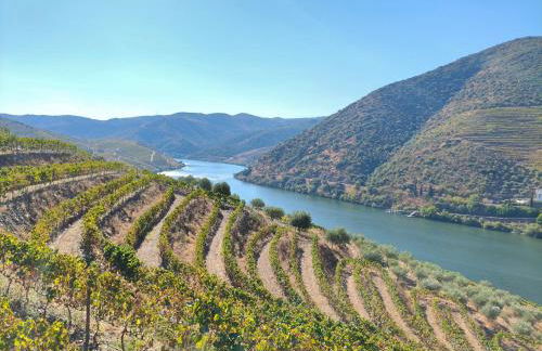 Wine House - Quinta Vale de Carvalho - Foto 4