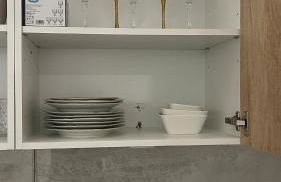 Apartment Ebersheim France - Foto 5