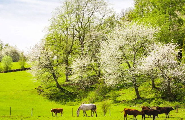 8 Person Holiday Home in Anneby-by Traum - Foto 13