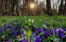 La Quercia e il Castagno Country & Relax - Foto 57