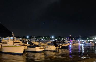 Surfinia’s home - Photo 7