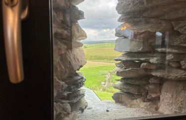 Wild boar barn - Foto 38