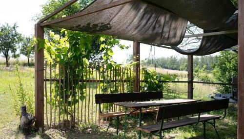 Ferienwohnungen Hof Luisenau - Photo 5