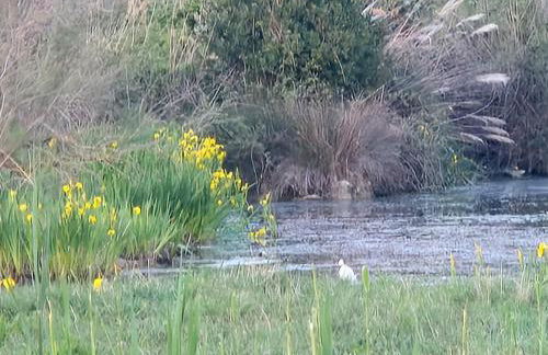 Havre de paix zen et cosy - Foto 12