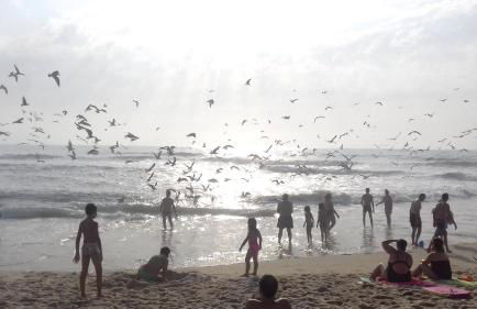 Holiday House Tocha - Foto 33