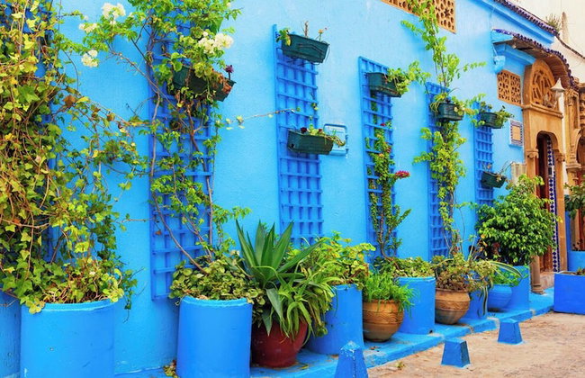 Cozy Elegant Apartment - Rabat Center- Free Parking & AirC & Internet - Foto 16