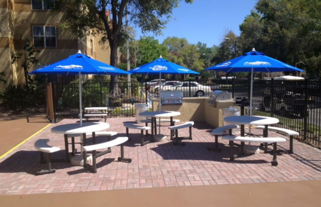 Blue Tree Resort at Lake Buena Vista - Foto 62