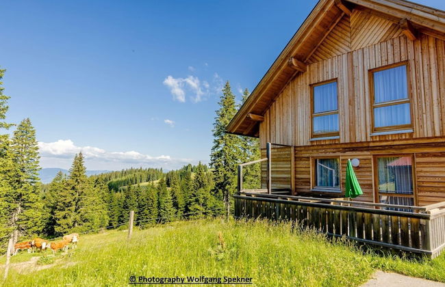 Chalet in Carinthia With Sauna Near Ski Slopes - Foto 17