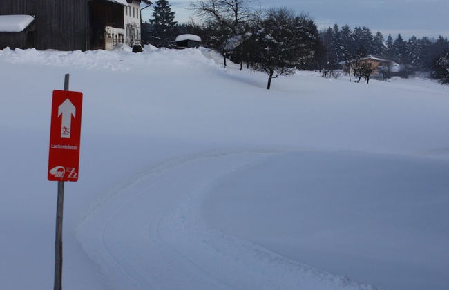 Spacious Holiday Home in Neureichenau-schimmelbach - Foto 24