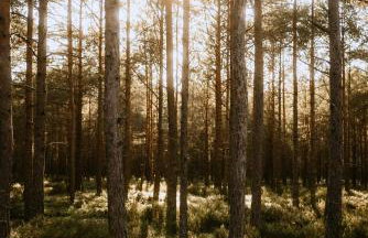 Na Górce Zamkowej - Foto 66