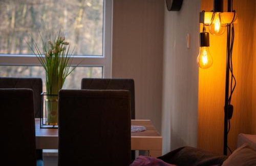 Apartament Kurort Kozubnik Wilcza Wataha - Foto 35