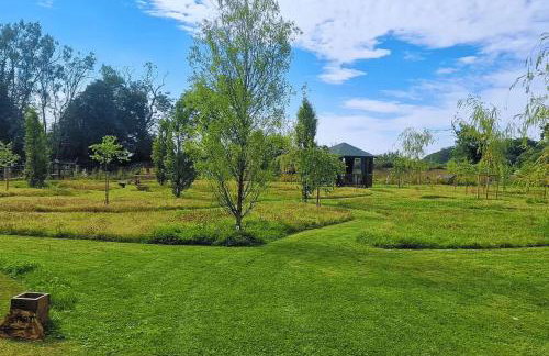 Bears House - Foto 22