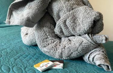 Porto Smeralda Guarajuba C001 - Foto 21