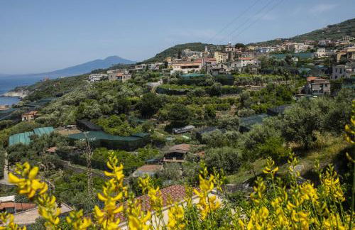 Neva Suites Massa Lubrense Sorrento Coast - Photo 52