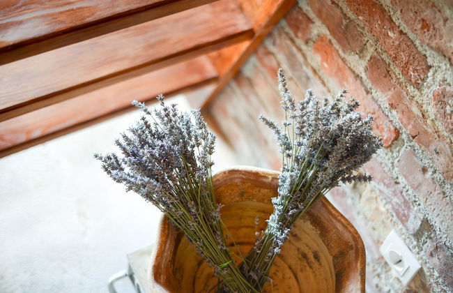 Traditional Stone House Bura - Nature Park Velebit - Foto 22