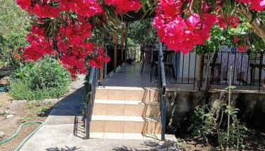 Eleni - Foto 3, Garden