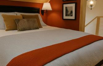 Lux Tiny House with Waterfront, Kayaks, Hot Tub, Arcade - Photo 31