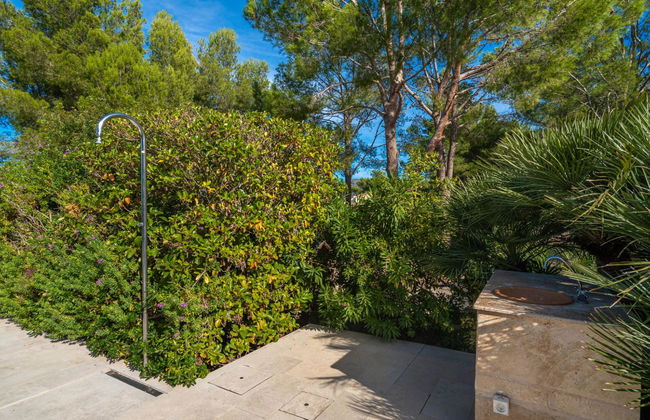 Orquidea 34 - Photo 40