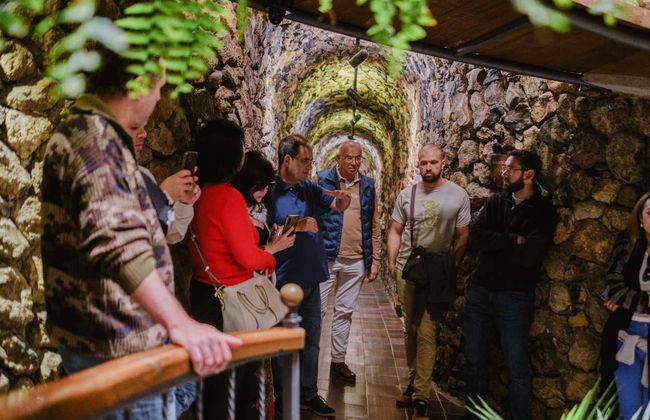 Visita às Bodegas Viñátigo - Foto 4