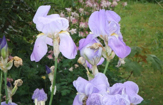 Queens Road Rental - Winchester Accommodation - Foto 27