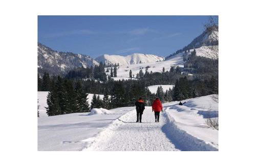 Holzer Feng Shui - Foto 38