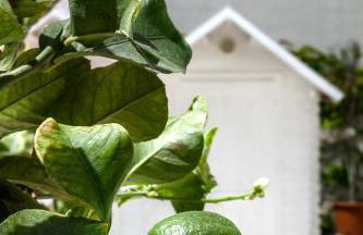 Cala Palme Lampedusa - Foto 62