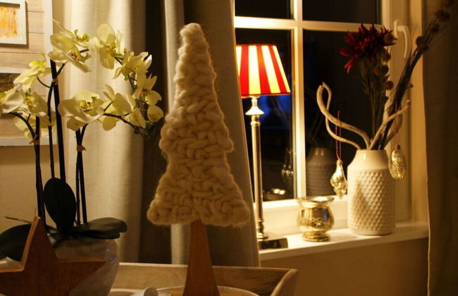 Reethus Star Kicker - Photo 4