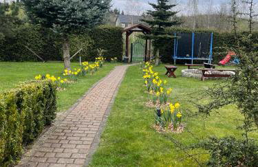 Agro na Wapniarni - Foto 18